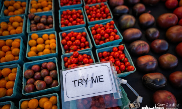 Photo Galleries: Garden Club and Scouts At Masonic Temple. Otterbein’s Homecoming. Tomatoes.