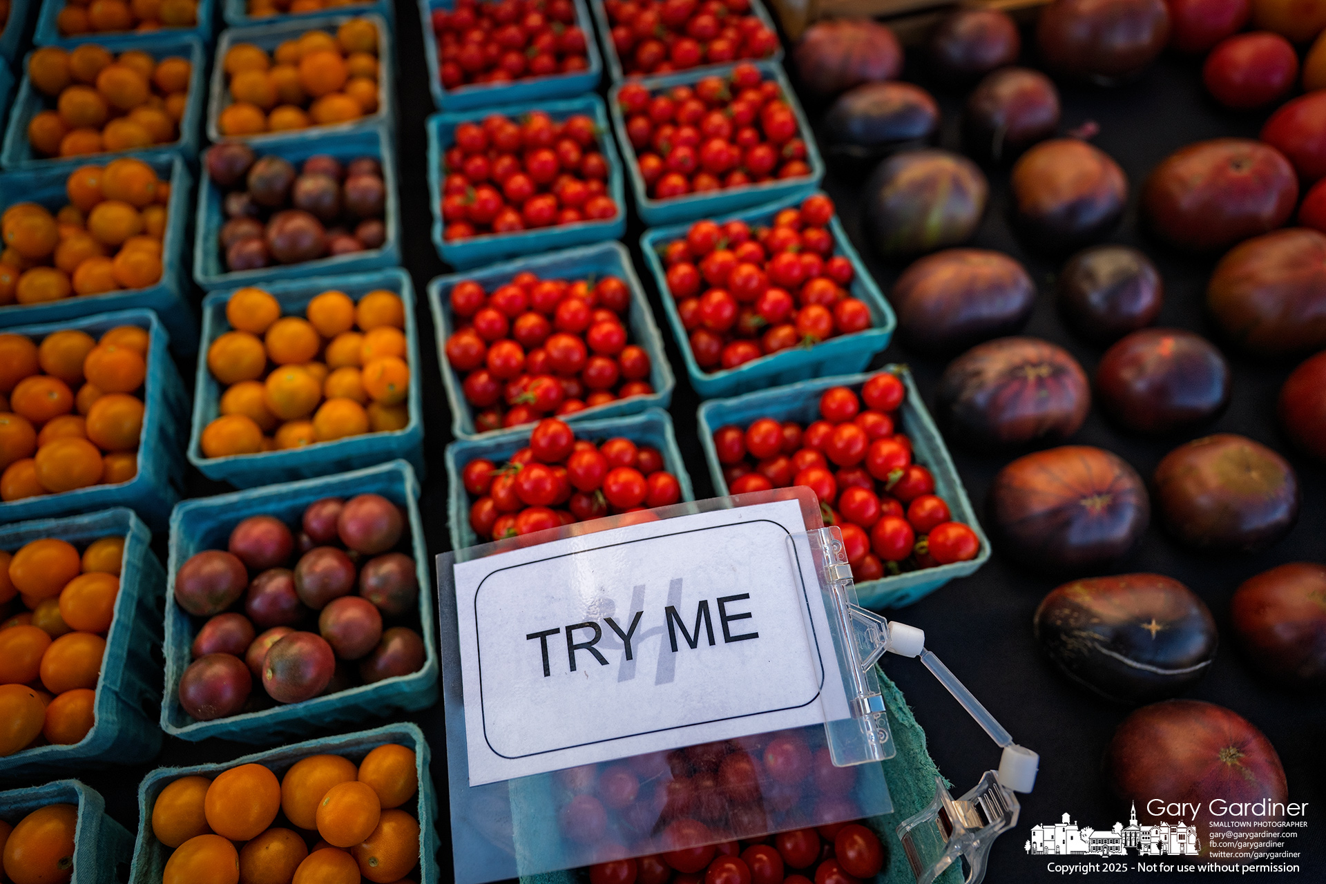 Photo Galleries: Garden Club and Scouts At Masonic Temple. Otterbein's Homecoming. Tomatoes.