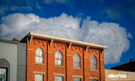 Mark Stevens – School Board Candidate