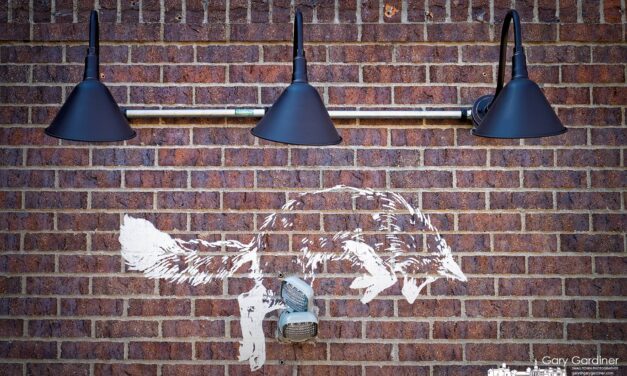 Fox in the Snow to Open Fifth Location in Westerville