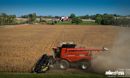 Yarnell Farm Harvest In Photos