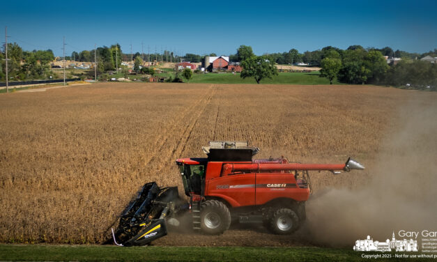 Yarnell Farm Harvest In Photos
