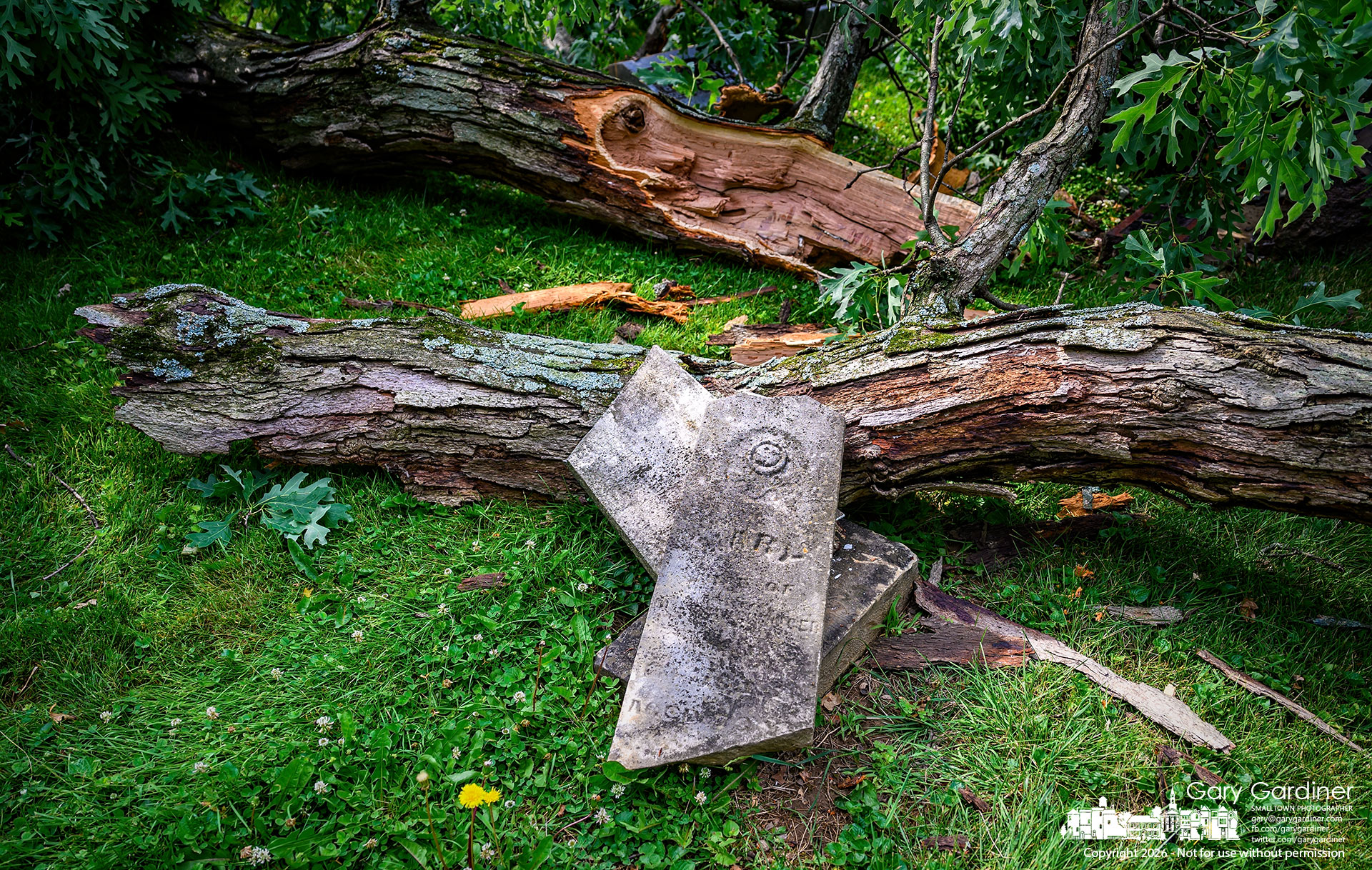 oldest-tree-fell-otterbein-cemetery-2026-06-08-42355.nef damaged tombstones from oldest tree in Westerville falling.