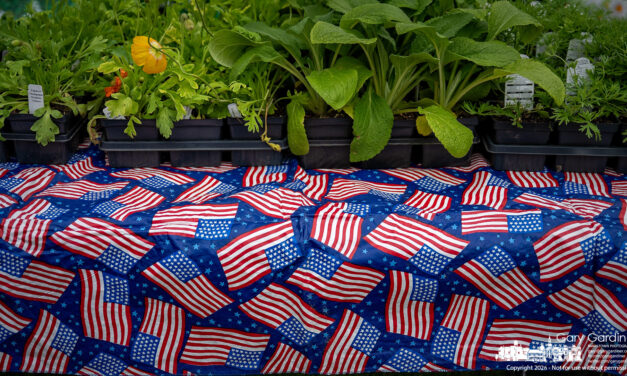 One in a series of 250 flags in Westerville