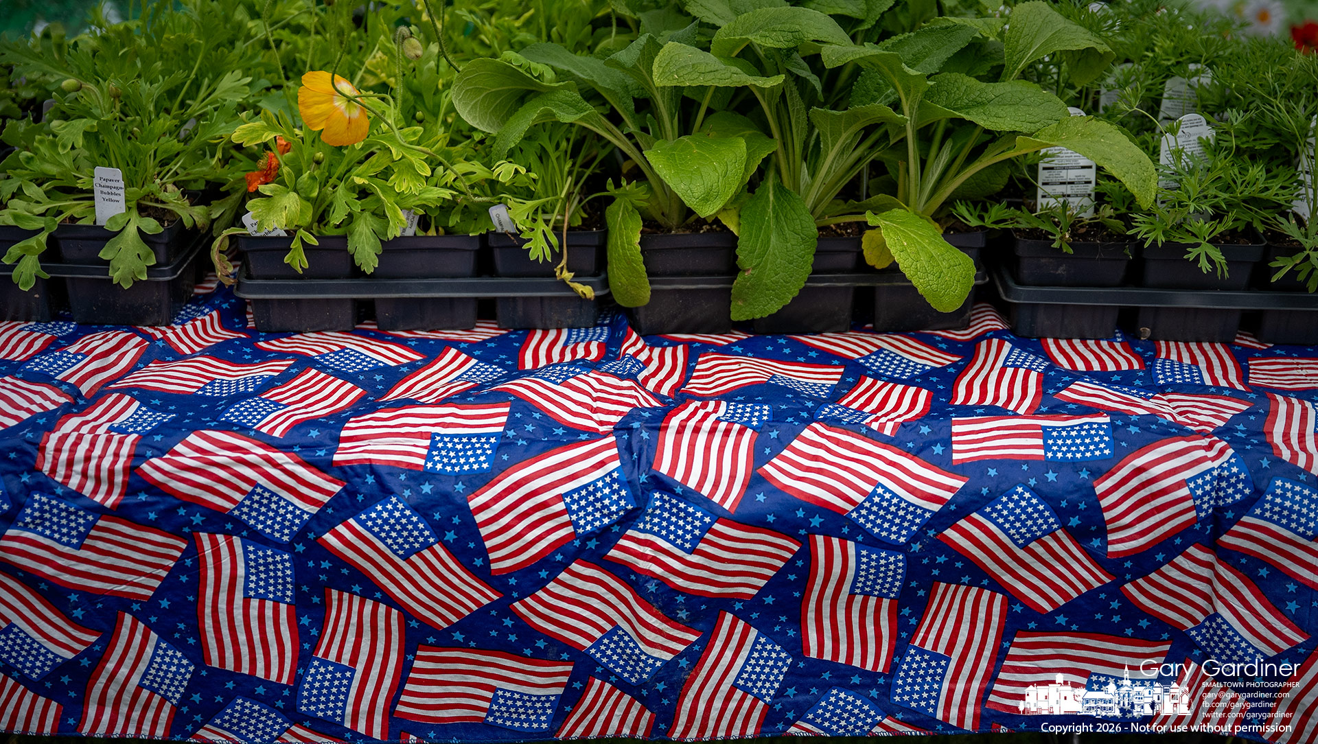One in a series of 250 flags in Westerville